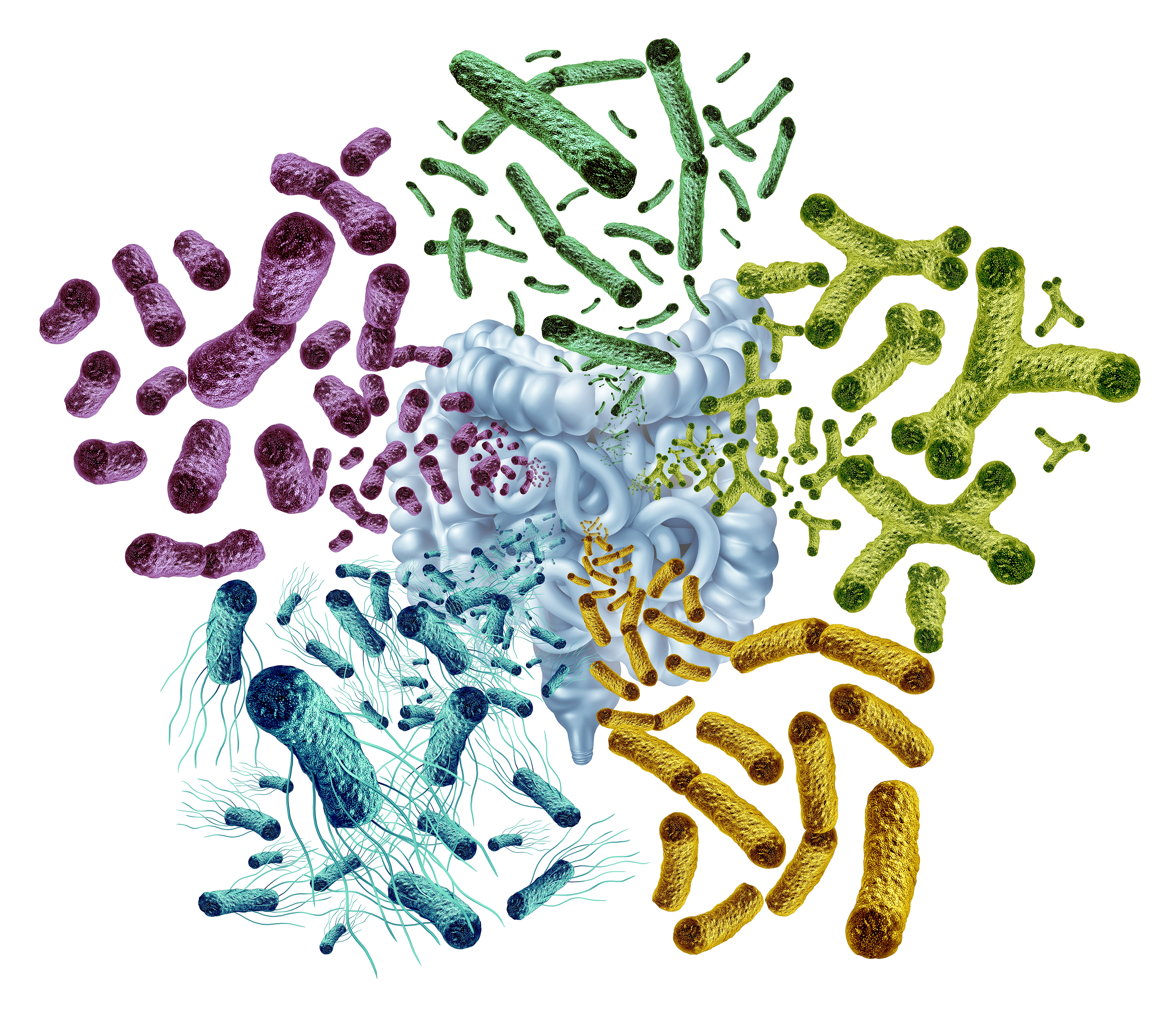 Il microbiota nella pratica clinica